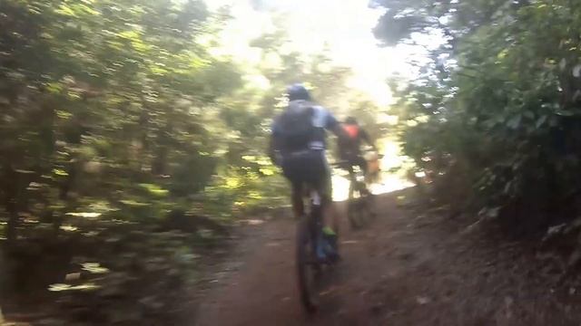 MINGO MTB смотреть онлайн