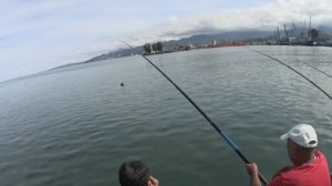 Батуми. Грузия. Рыбалка на море в Батуми. Что на что клюет?