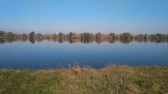 Где живем, там и гадим? Это для людей?!! смотреть онлайн