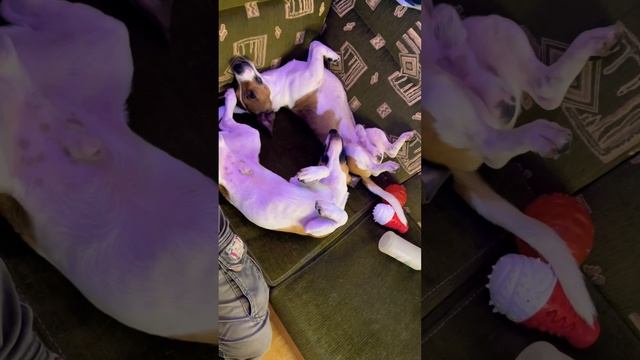 Как две капли воды, но есть подозрение ?