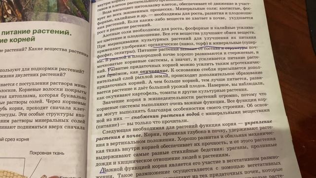 Биология/6 кл/ Почвенное питание растений.Значение корней/06.12.20 смотреть онлайн