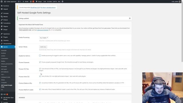 Como cargar Google Fonts desde local en WordPress смотреть онлайн