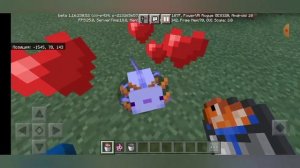 Как с помошю бага получить самого редкого аксолотля в майнкрафте?!