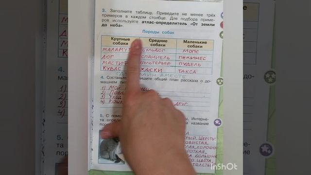 2 класс. ГДЗ. Окружающий мир. Рабочая тетрадь. Плешаков. Часть 1. Страницы 58-59. С комментирование смотреть онлайн