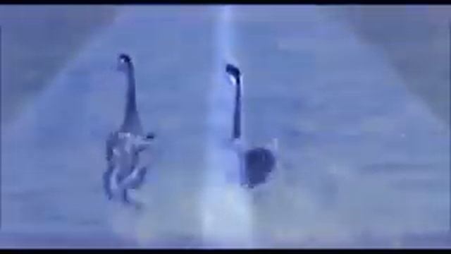 Осетинские танцы смотреть онлайн