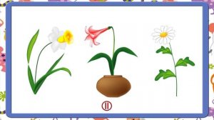 'Строение цветка'