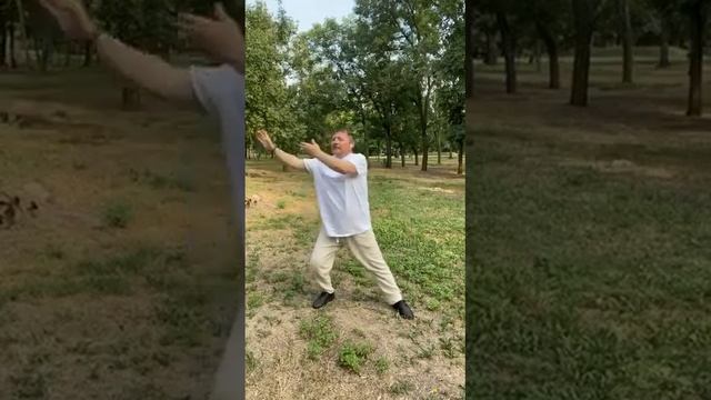 СУФИЙСКИЕ УПРАЖНЕНИЯ. НОБ И КРЫЛЬЯ АНГЕЛА, смотреть онлайн