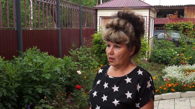 Розы в сибирском саду смотреть онлайн