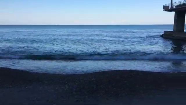 Звезда Альтамар 2020 смотреть онлайн