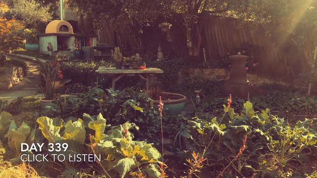 Melodic meditation 500 day challenge Day 339 смотреть онлайн