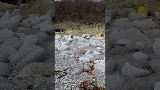 Отдых на Японском море. смотреть онлайн