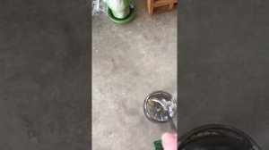 Проверяю семена перцев на всхожесть. Как проверить семена перцев, томатов на всхожесть?