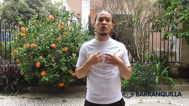 Vídeo final (coreografía de combate escénico) "Combate en las tablas" Por: David Ponce смотреть онлайн