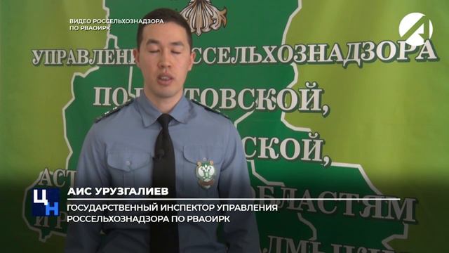 Проверка экспортируемой продукции смотреть онлайн