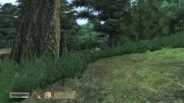 The Elder Scrolls IV: Oblivion - 1080p60 HD Walkthrough Part 46 - 