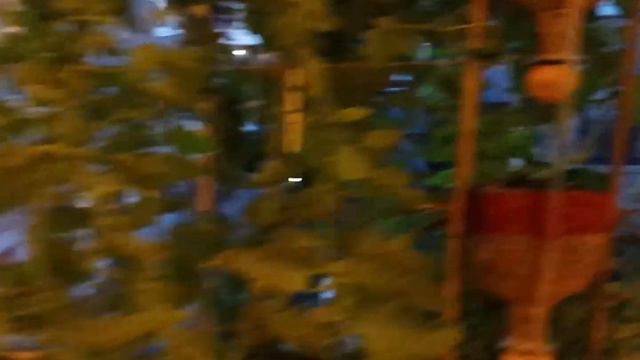 Glass bottle windowfarm смотреть онлайн