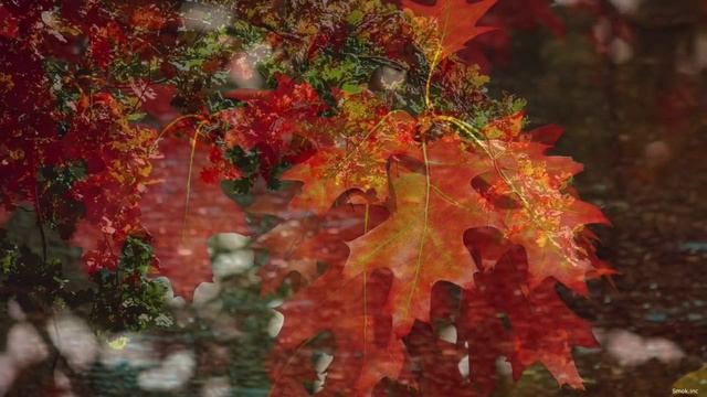 Deep House Mix 2023 Vol 1 Miami