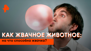 Знаете ли вы, что? — На что способна жвачка?