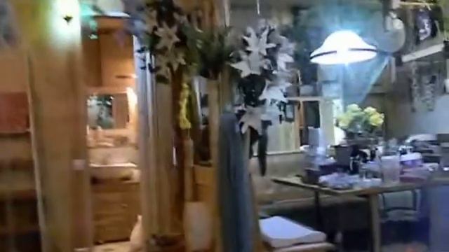 зоогостиница "Джунгли для котов" - Тесла смотреть онлайн