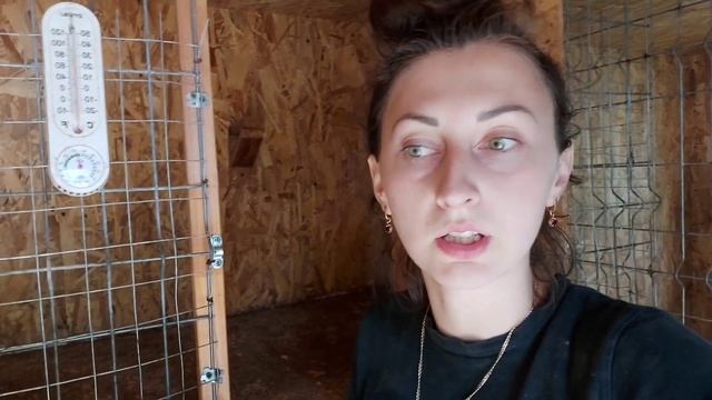 Варим КЛУБНИЧНОЕ ВАРЕНИЕ, переработка клубники/ Цыплята ПЕРЕЕХАЛИ в Новый ?/ борьба с травой смотреть онлайн