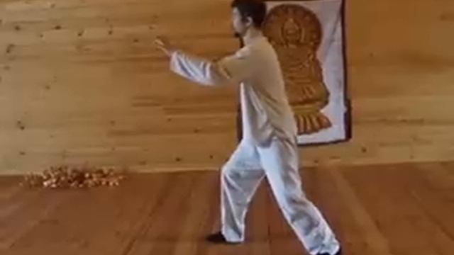 Tai Chi Yang-stile108 (Part3) смотреть онлайн
