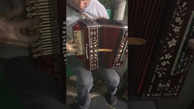 Гармонь любительская ДО-мажор смотреть онлайн
