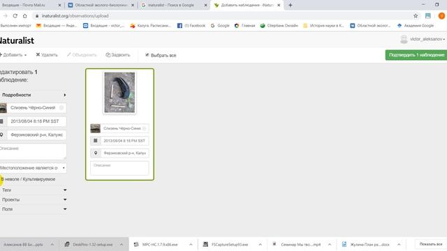 Фотографии на пользу науке: используем платформу iNaturalist с компьютера смотреть онлайн