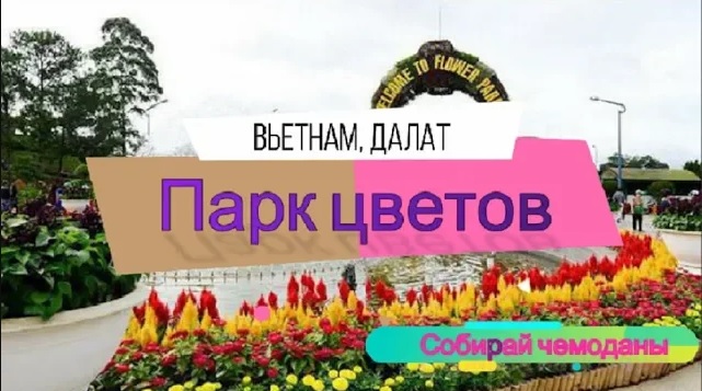 Парк цветов (Вьетнам, Далат) смотреть онлайн