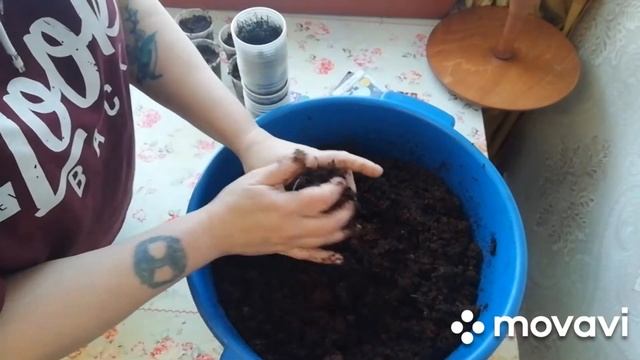 Сажаю цветы на кокос. смотреть онлайн