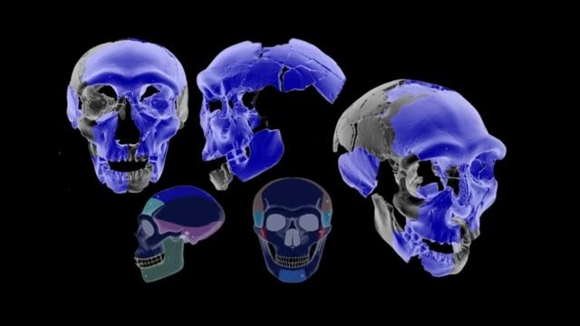 The Weird History of the 800,000-Year-Old Peking Man Fossils смотреть онлайн