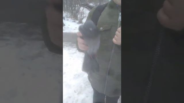 Делаем Вместе