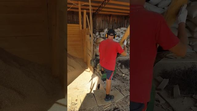 Щепа для копчения буковая. Производство. смотреть онлайн