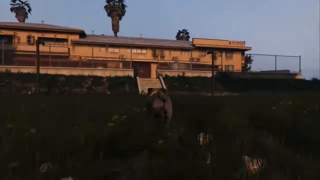 GTA 5 PC Играть животными Песик смотреть онлайн
