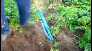 Ручная картофелекопалка