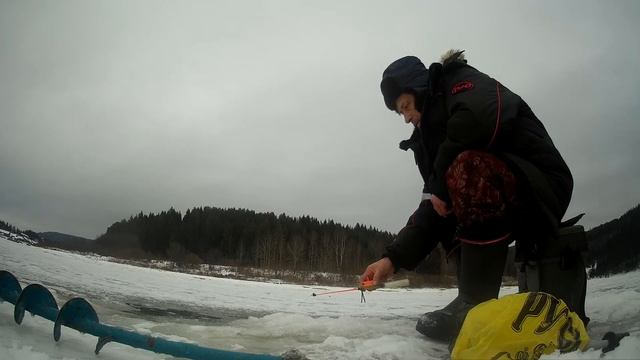 Ловля голавля и ельца на гирлянду я.на реке Чусовая.