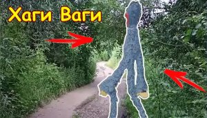 Увидел Хаги Ваги в реальной жизни