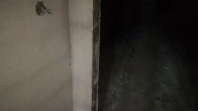 Монолит строй Чебоксары П 1.9