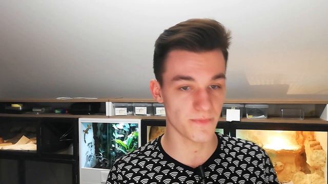 🦎Młode Vs Dorosłe jaszczurki - co wybrać? 💁♂️ смотреть онлайн