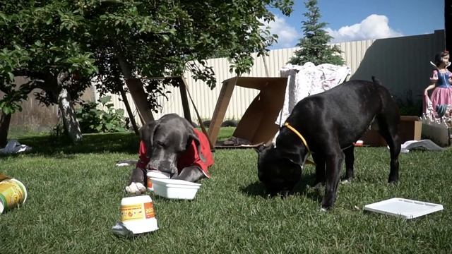 По мотивам сказки "Теремок". АН Мегамир, ЕКБ. смотреть онлайн
