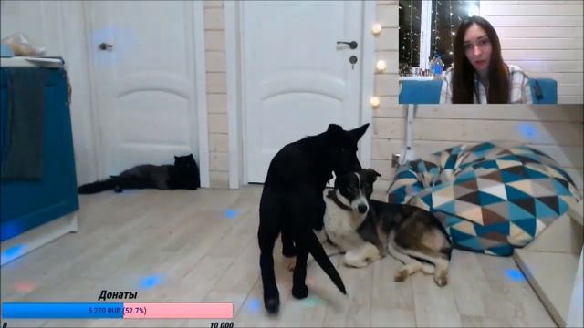 ПОД СТАРЫЙ НОВЫЙ ГОД - стихи Собаки неУлыбаки смотреть онлайн