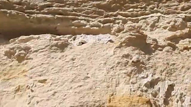 #Видеоотзыв. #Крем для лица Нони Плюс. Тайская косметика. смотреть онлайн