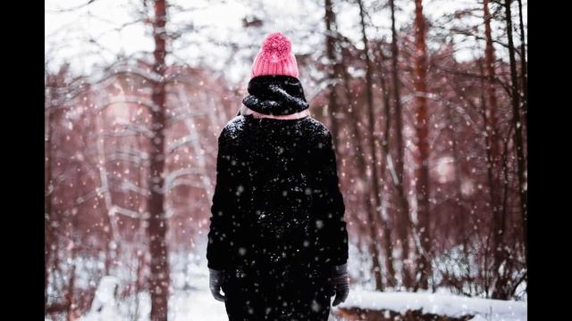 Живая фотография, зимний лес смотреть онлайн