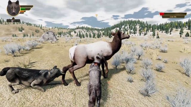 Killing Many Bull Elk in Early Spring in Multiplayer WolfQuest 3 Anniversary Edition Episode #192 смотреть онлайн