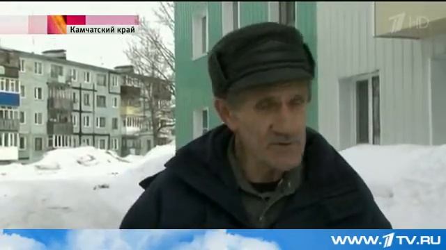 В Чите собаки загрызли мальчика смотреть онлайн