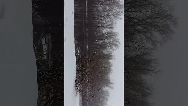 Моржевание Днепр .зима я люблю тебя. смотреть онлайн