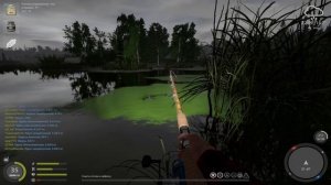 Где и как НОВИЧКУ ловить КАРПА ? ● Русская Рыбалка 4 | РР4