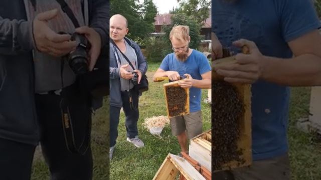 Германия 2019. На пасеке у селекционера карники Ф.Шмидта смотреть онлайн