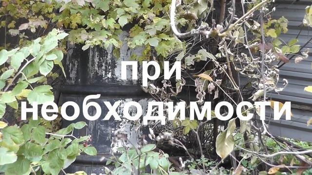 Отключили воду, куда бежать. ФИЛЬТР для очистки воды при выживании.