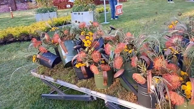 Ярмарка цветов в Болгарии, Климат Болгарии, Погода в Болгарии, Бургас, Цветы смотреть онлайн