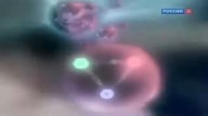 Бозон Хиггса. Частица Бога (2016)